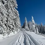 Jestřáb
