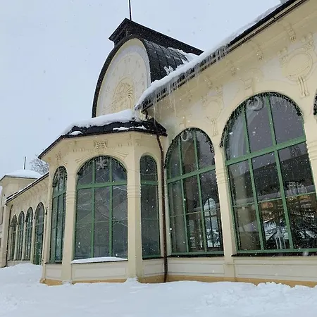 Jestřáb * Janské Lázně